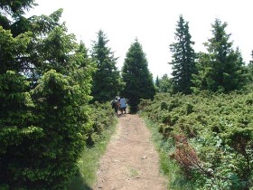 drumetii, trasee in muntii harghita